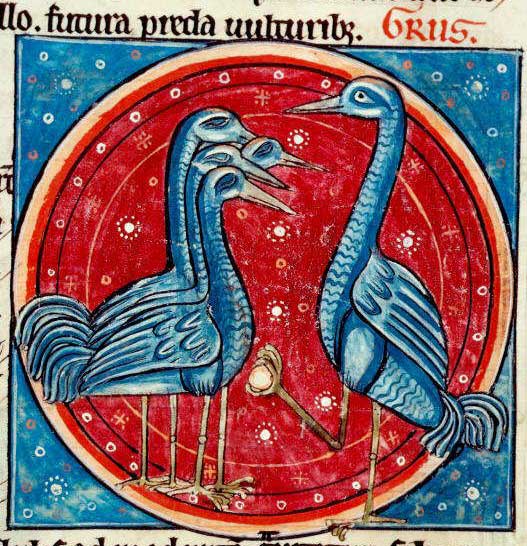 crane bestiary